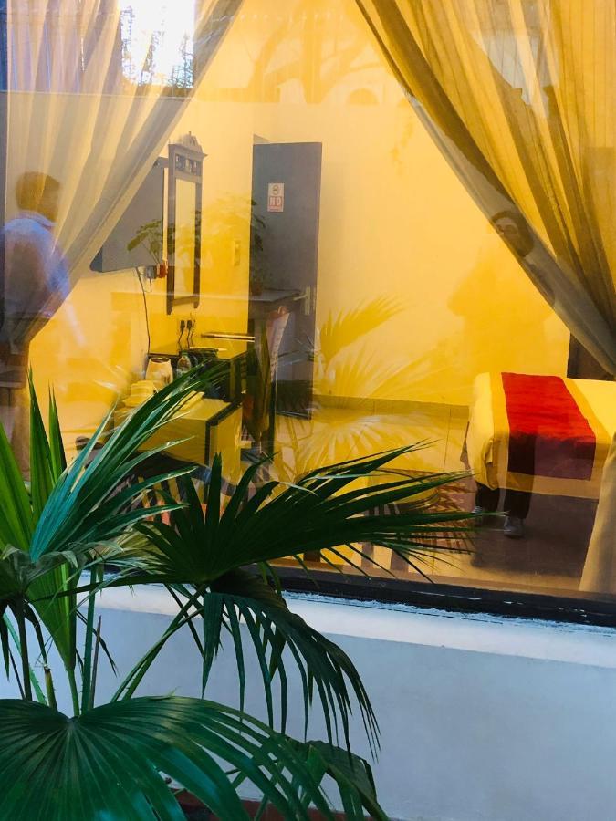 The Neem Bed & Breakfast New Delhi Bagian luar foto