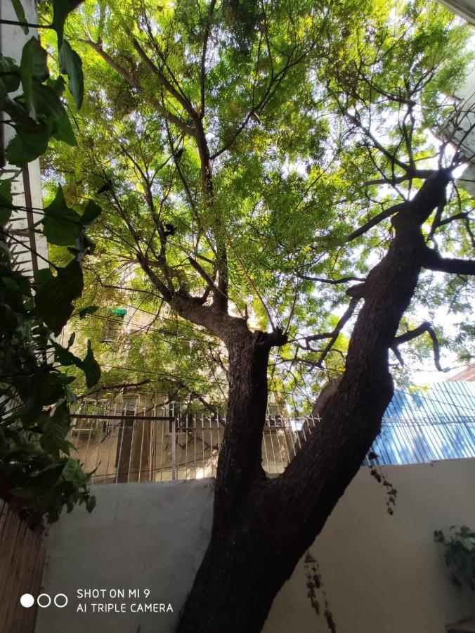 The Neem Bed & Breakfast New Delhi Bagian luar foto
